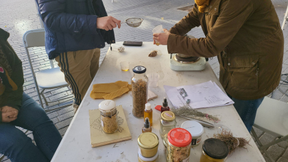 Festa hivern Mercat Origen Montserrat. Taller de farmaciola natural