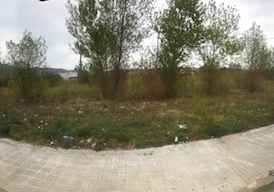 INMOBILIARIA ZAMA